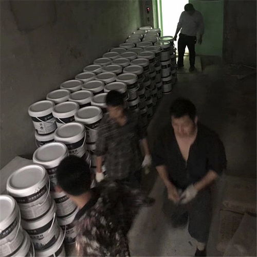 廠家直銷高級(jí)工程防水涂料液體卷材涂膜材料